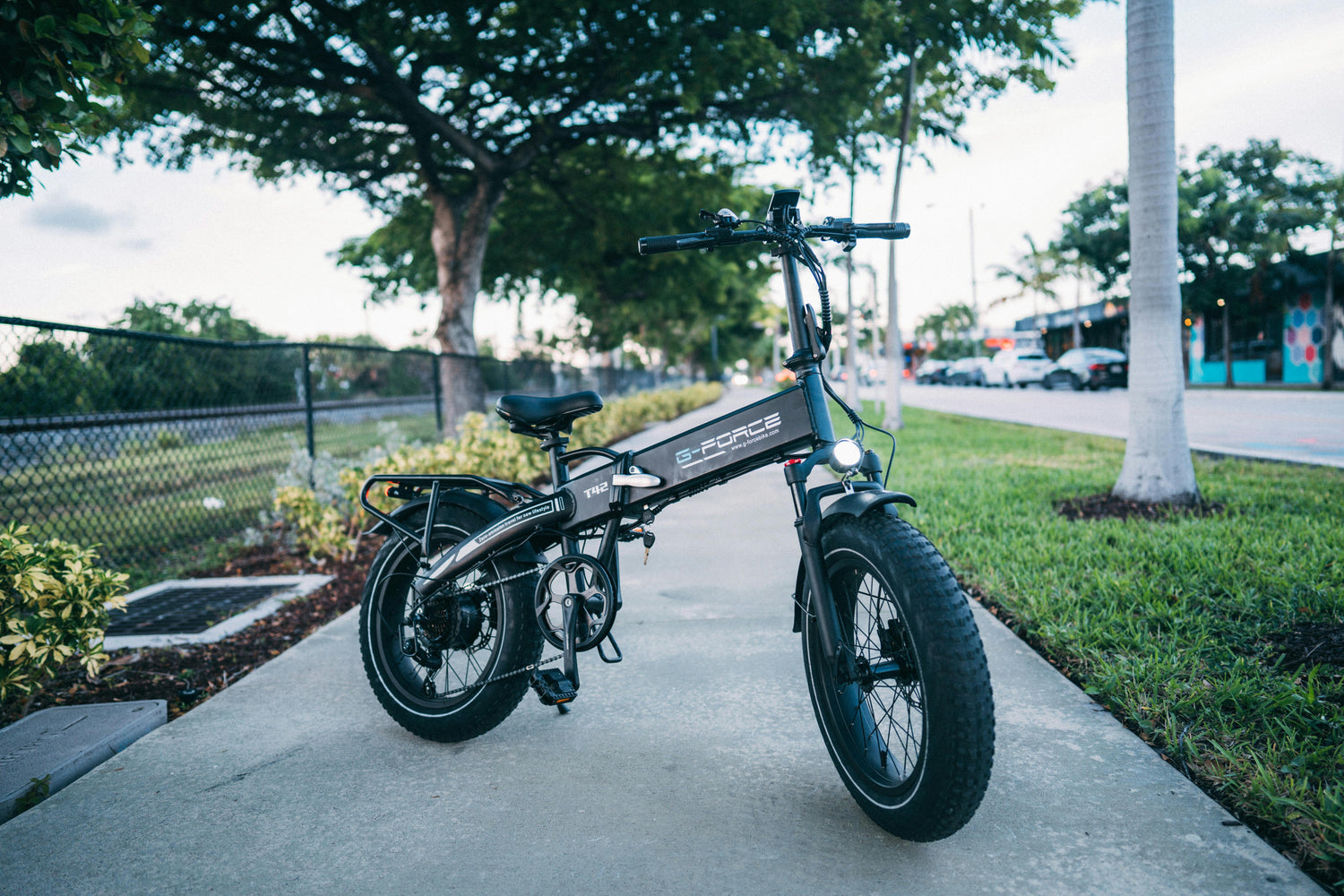 Electric Bikes